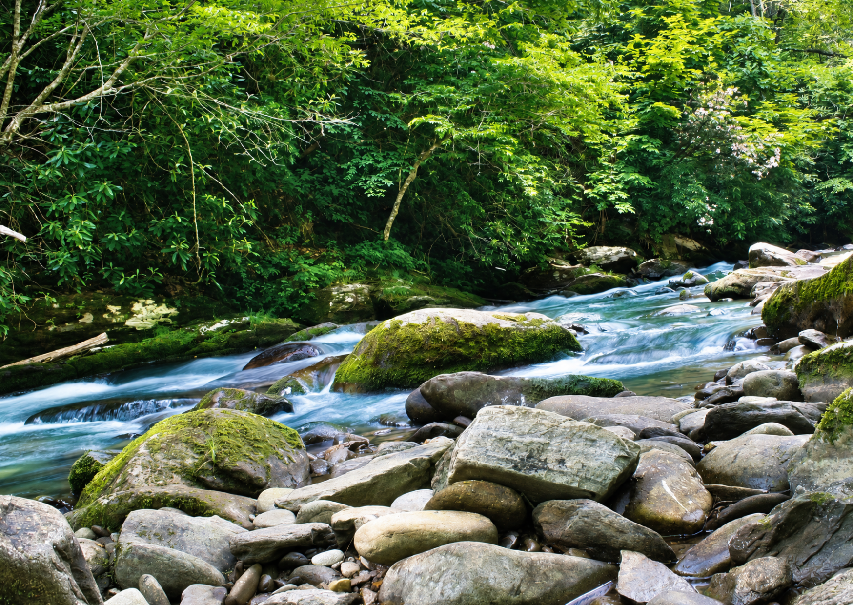 Deep Creek cascading waters and hiking area