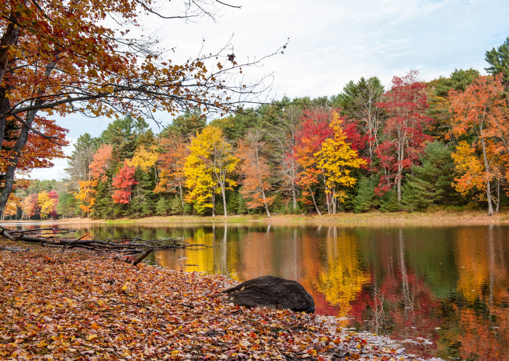 Autumn fall foliage covering mountain ridges